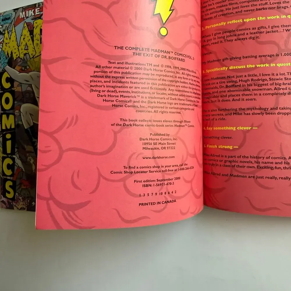 Madman Comics Mike Allred Graphic Novel Lot Crash Course for the Ravers Boiffard